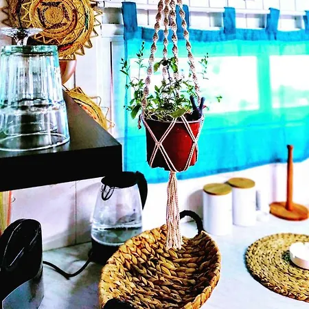 Olive House Karpathos Appartement