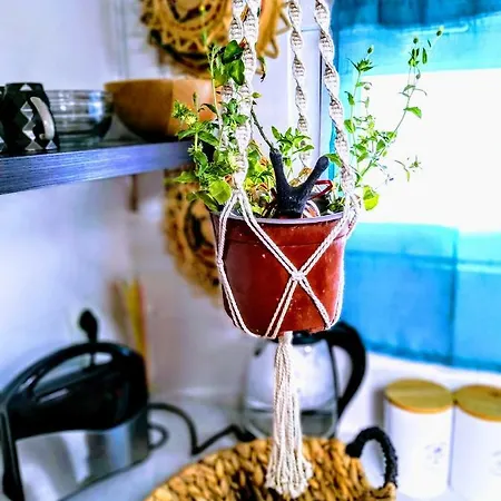 Olive House Karpathos Appartement *