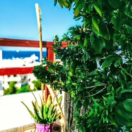 Olive House Karpathos