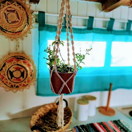 Apartment Olive House Karpathos *